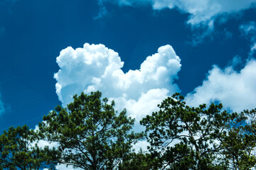 Beautiful and curious clouds background blue sky at Florida.