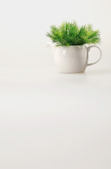 Plant in a teapot