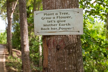 environmental conservation sign on a tree in the forest 