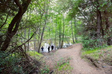 People walking on river bank in peaceful beautiful scenic northern california park 