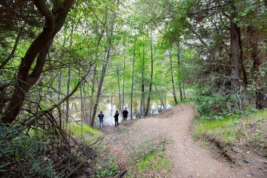 People Walking On River Bank In Peaceful Beautiful Scenic Northern California Park 