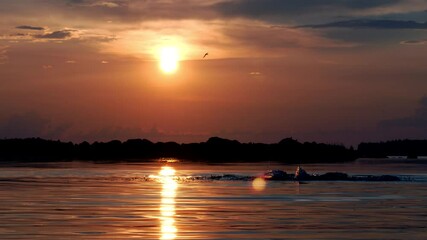Silhouette man swims crawl in ocean at colorful sunset - Powered by Adobe