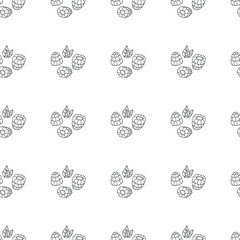 Raspberry berry. Seamless vector pattern. Simple black-and-white outline drawing. Print for notebook covers, packaging, wrapping paper.