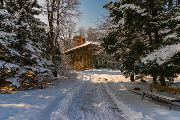 Fototapeta premium road in winter