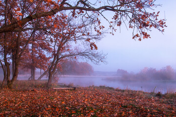Autumn. Beautiful scenery. Autumn sunrise on misty river. Leaves  fall  on grass. Almost bare forest.