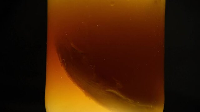 Kombucha scoby moving slowly in a jar