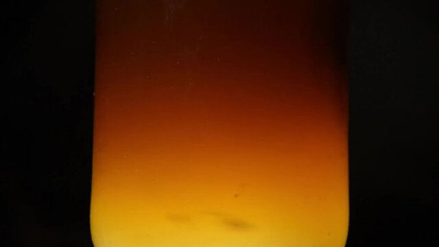 Kombucha scoby moving in a jar. Dark top light bottom