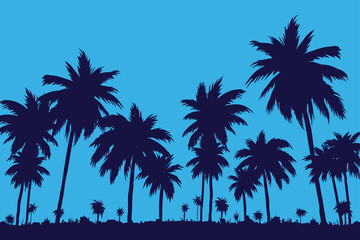 Palm trees