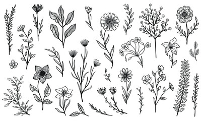 set flowers and leafs hand made  vector	