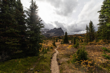 hiking path in the mountains in autumn with a cloudy sky