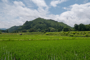 南会津・舘岩・湯ノ花地区の里山