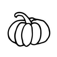 illustration big pumpkin autumn harvest