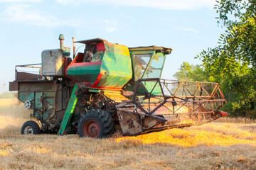 combine harvesting wheat