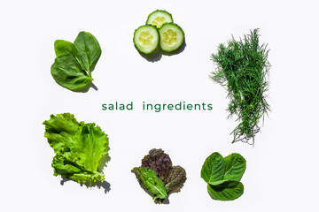 Pattern of fresh green ingredients for salad on white background. Flat lay creative layout of leaves of lettuce, spinach, mustard, dill and cucumber. Healthy eating. Organic and vegetarian food