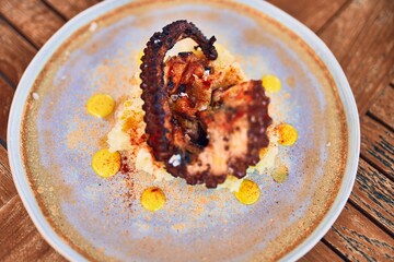 Delicious dish of grilled octopus seafood