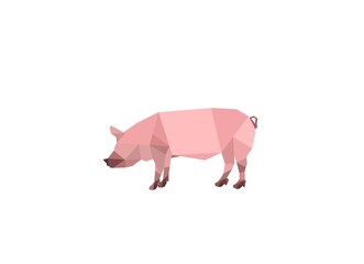 Pig icon - abstract geometric pig on white background