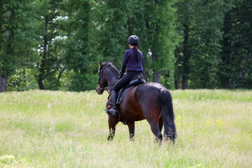 Beautiful girl with chestnut horse in evening field. Farm, horseback.