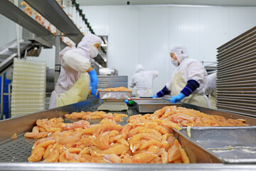 Workers are busy on the broiler processing line, Luannan County, Hebei Province, China