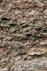 An old medieval stone wall, grass and moss on it. Wallpaper, natural background, copy space, soft focus.