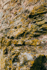 An old medieval stone wall, grass and moss on it. Wallpaper, natural background, copy space, soft focus.
