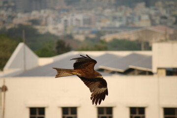 Soaring the Beyond