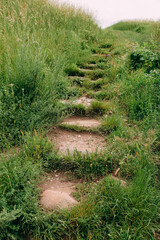A path of stones among the grass, an old path with steps.