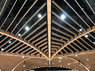 Decorative wooden rafter background for an Commercial shop ceiling interiors at an international airport