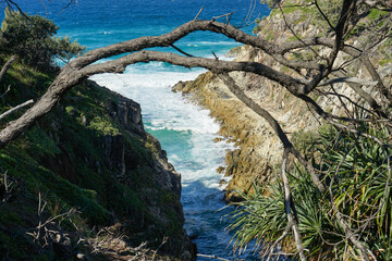 Tree branch forms an arch across the top of a view down into the rocky sea gorge. Gorge Walk, North Stradbroke Island, Queensland, Australia.