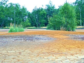 dead river in the park