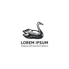 Swan logo template. Logo bird logo template. Vector logo Swan