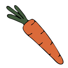 autumn harvest from the garden from the garden - orange carrots, doodle style vector element, black outline