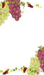 葡萄が生っている蔦と紫とグリーンの葡萄のイラストワイドバーチャル背景素材縦長