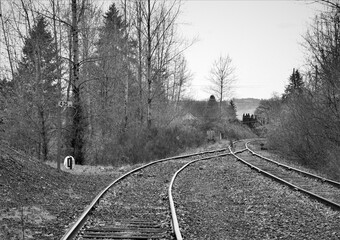 Black and white picture of abandoned railroad tracks curving through bare trees with many power lines crossing over.