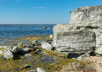 Fototapeta na wymiar summer landscape with limestone cliffs, Undva Cape, Tagamoisa Peninsula, Saaremaa Island, Estonia