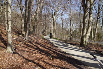Cycle path through the forest along the road at the edge of the forest of the dunes. Early spring. Between the Dutch villages of Egmond and Bergen. Netherlands, March 23, 2020.  