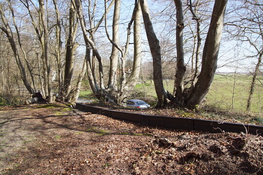 Krötentunnel Bilder Durchsuchen 93 Archivfotos, und