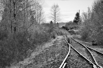 Fototapeta premium Black and white picture of abandoned railroad tracks curving through bare trees with many power lines crossing over.
