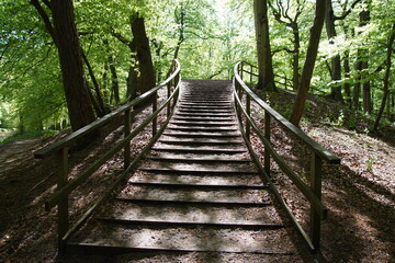 Obraz premium Hill with wooden stairs in the forest in the spring at the Dutch village of Bergen. Netherlands, April 30, 2020.