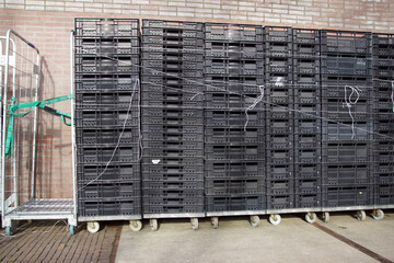 Roll containers or roll cage trolleys with grey stackable plastic crates.  February, Netherlands. 