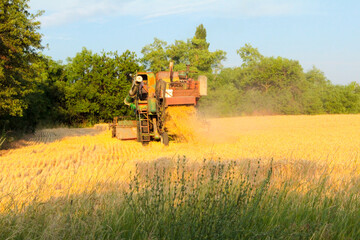 combine harvester working in a field
