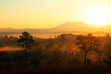 Beautiful sunrise or sunset with silhouette of tree and mountain view background at Thung Salaeng Luang National Park, Phetchabun, Thailand. Nature Landscape foggy with sunlight and Landmarks 