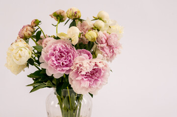 a bouquet of peonies in a vase on a white background close up. isolated