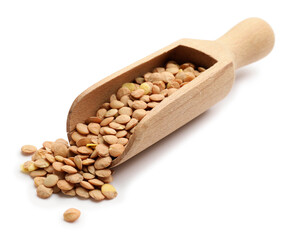 Raw lentils in scoop on white background