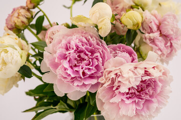 Lovely flowers in glass vase. Beautiful bouquet of pink peonies . Floral composition, scene, daylight. Wallpaper isolated