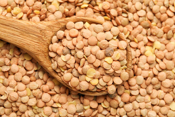 Spoon on raw lentils, closeup