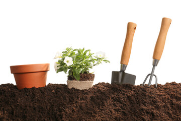 Soil and gardening tools on white background