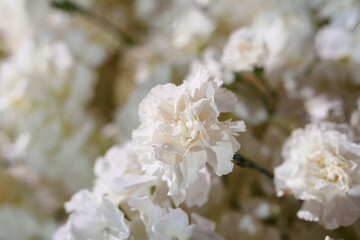 Wedding flower arrangement and decoration. Empty copyspace and space for text. Holiday accessories and backgrounds