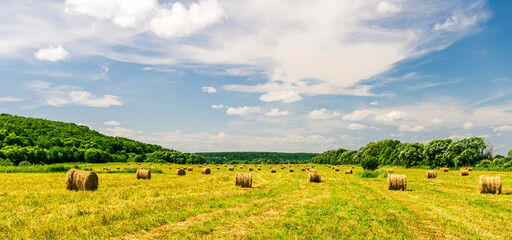Fototapeta na wymiar Scenic view at beautiful hay stacks in a green shiny field with green grass, deep blue cloudy sky , trees and country road, leading far away, summer valley landscape
