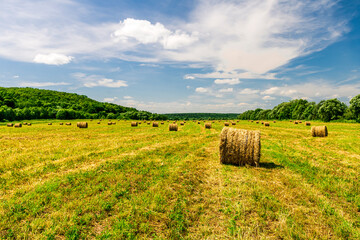 Scenic view at beautiful hay stacks in a green shiny field with green grass, deep blue cloudy sky , trees and country road, leading far away, summer valley landscape