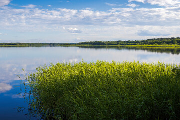 Beautiful summer landscape. Scenic view of the lake.